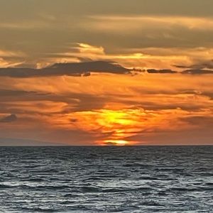 Maui Cup - GREAT DEAL